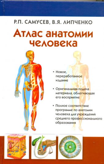 Атлас анатомии человека.